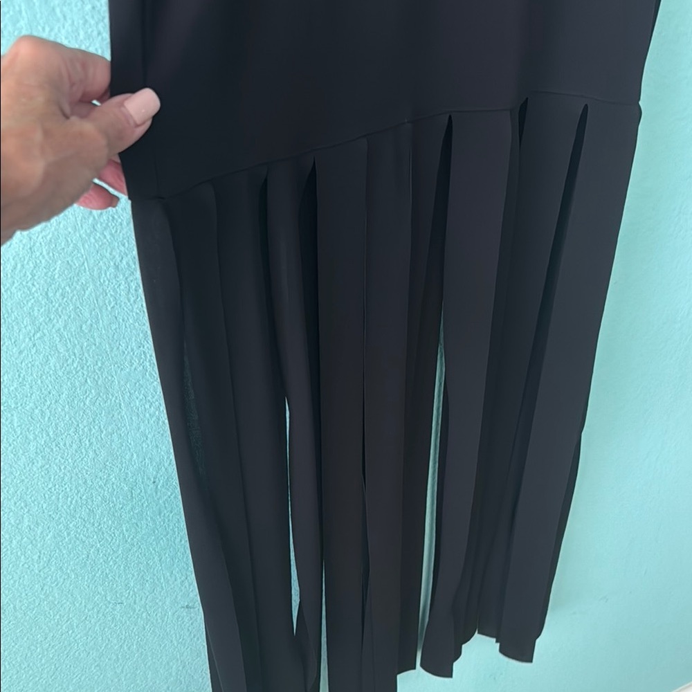Zara Black Fringe Skirt